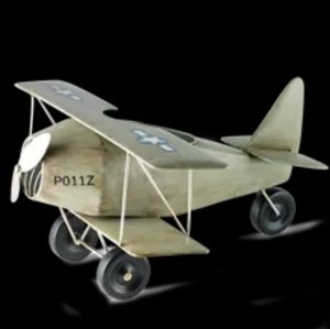 Pink zebra Air plane shade